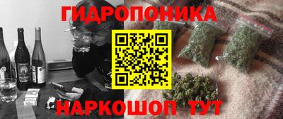 прущие крисы Лесосибирск